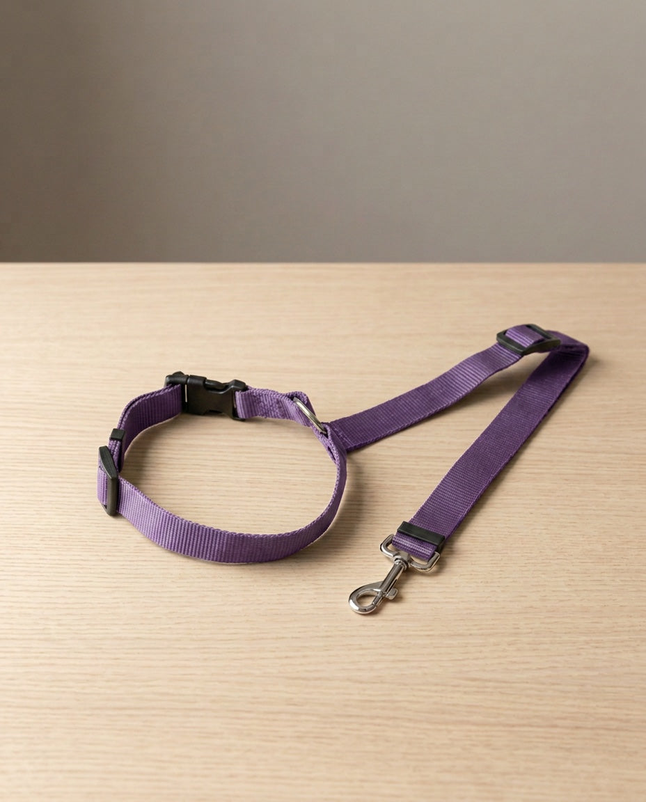 Cinturón de seguridad 2 en 1 para perro en morado, extendido sobre madera clara