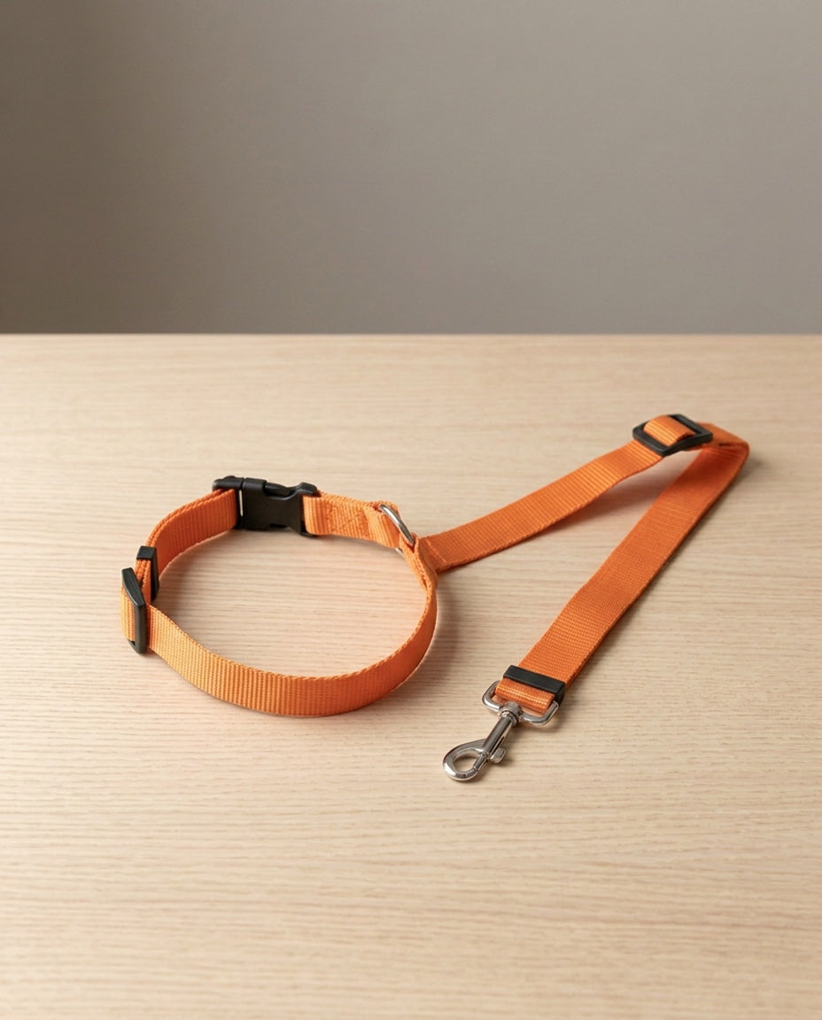 Cinturón de seguridad 2 en 1 para perro en naranja, extendido sobre madera clara