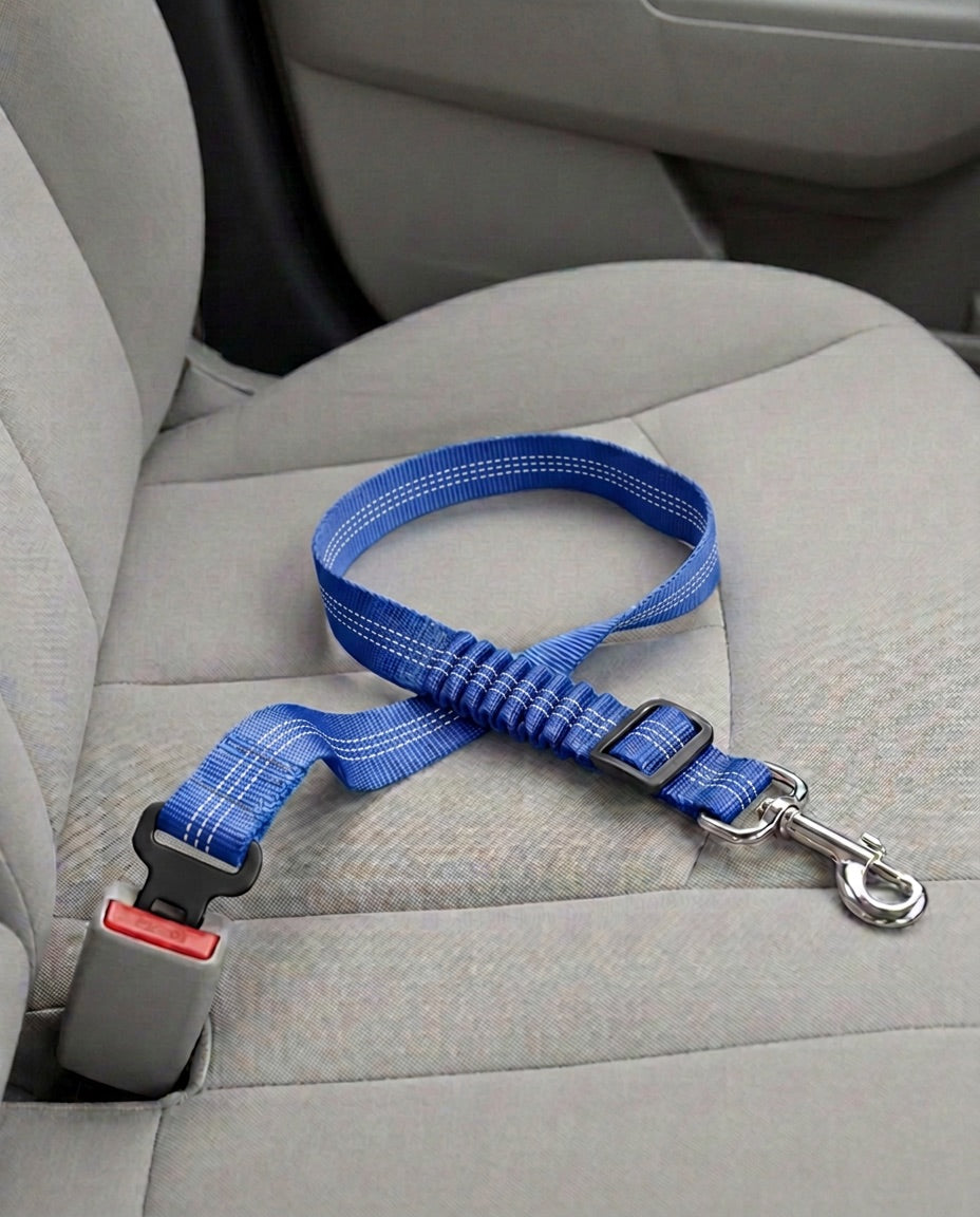 Cinturón de seguridad para coche en azul reflectante, abrochado a la hebilla del asiento del copiloto