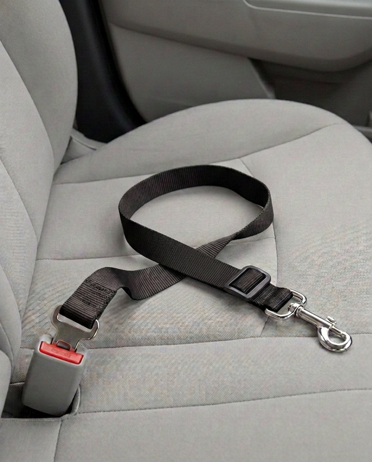 Cinturón de seguridad para coche en negro, abrochado a la hebilla del asiento del copiloto